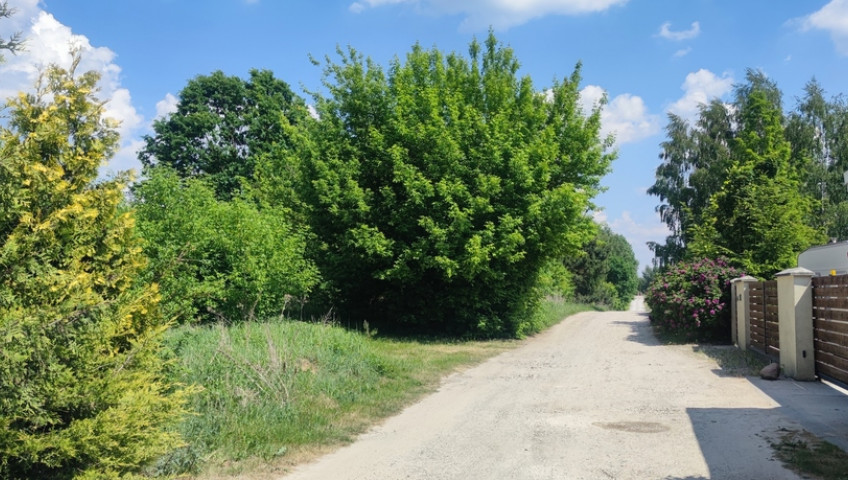 Działka Sprzedaż Wiktorów